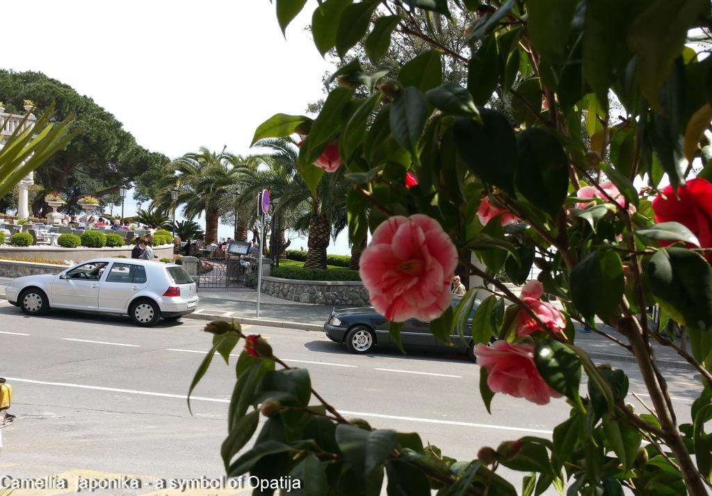Apartment Kamelija Opatija Oda fotoğraf